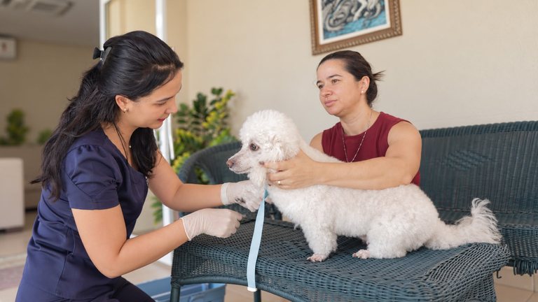 Profissional da CentroPrev orienta tutora durante atendimento domiciliar do cachorro.